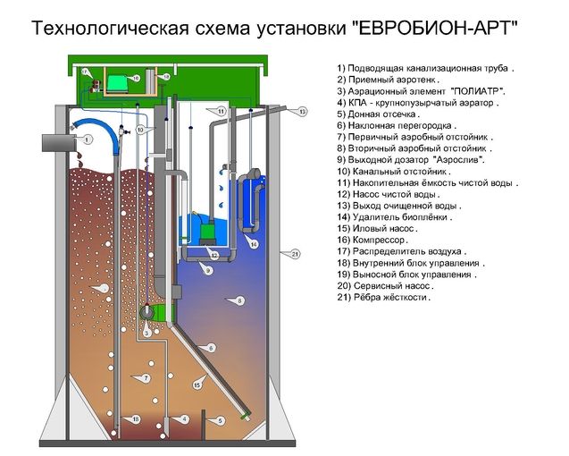 Евробион схема